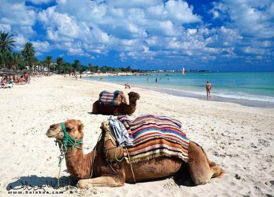 آیا تونس را برای سفر می پسندم؟