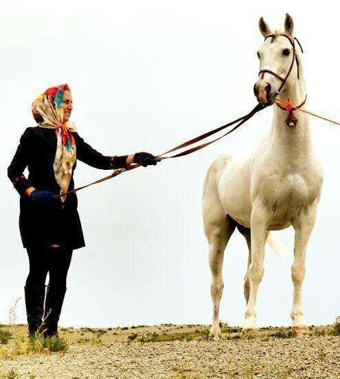 زنی که آرزویش به ثبت رسیدن نامش به عنوان اولین زن پرورش دهنده اسب ترکمن است