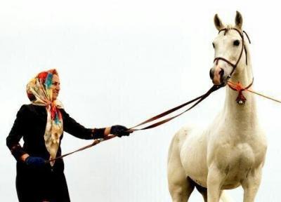 زنی که آرزویش به ثبت رسیدن نامش به عنوان اولین زن پرورش دهنده اسب ترکمن است