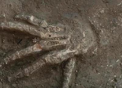 راز دست های بریده کشف شده در قصر باستانی متعلق به 3500 سال پیش در مصر
